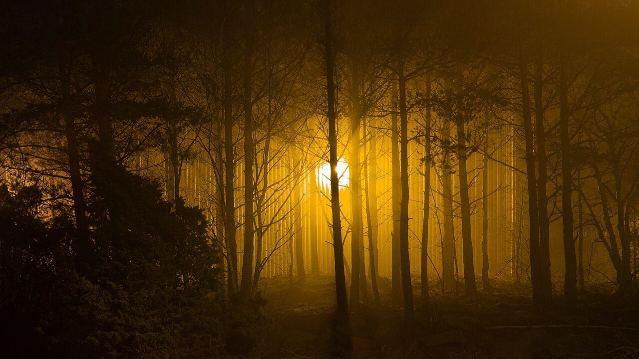 世界杯 西班牙观察｜欧洲 亚马尔 领衔 阵容·前景